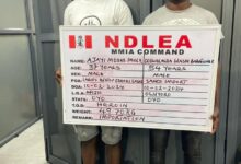 NDLEA Intercepts Largest Heroin Consignment, Arrests Syndicate