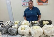 NDLEA Stops Lady ,35, From Exporting Illicit Drugs Concealed in Salad, Dried Vegetables