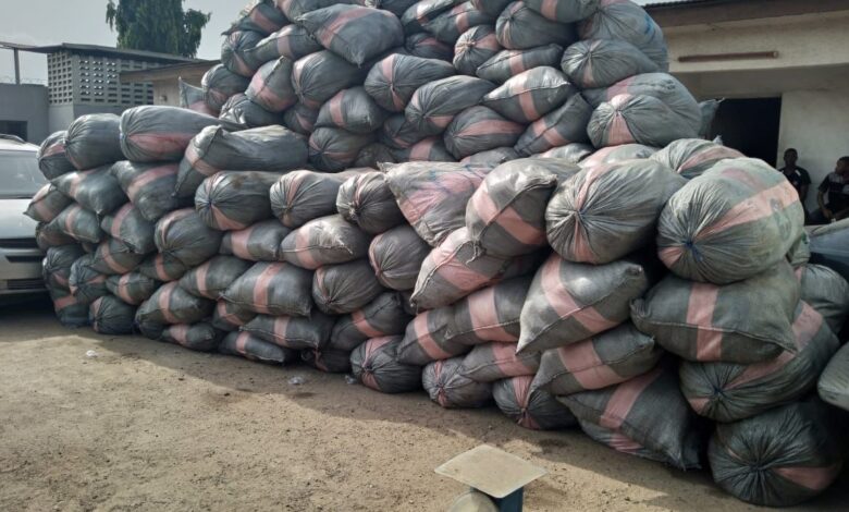 NDLEA launches massive raids in Lagos, Edo, Ondo, seizes 44,948kg drugs, 11 vehicles