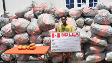 Navy Intercepts 193 Bags of Cannabis in Lagos, Arrests Suspect