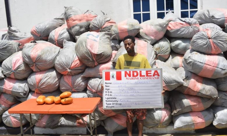 Navy Intercepts 193 Bags of Cannabis in Lagos, Arrests Suspect