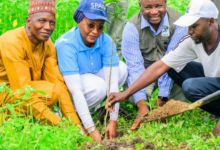 50,000 Target: FirstBank, NCF Take Tree Planting To FCT In CRS Week