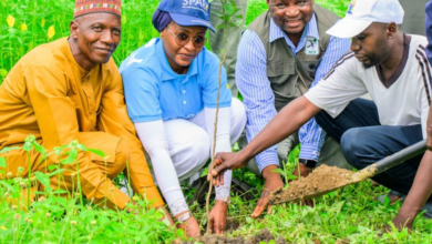 50,000 Target: FirstBank, NCF Take Tree Planting To FCT In CRS Week