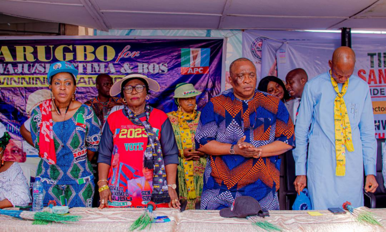 2023 General ElectionsBabajide Sanwo-OluBola TinubuIru-Victoria Island LCDALagos StatePrincess Aderemi Adebowale