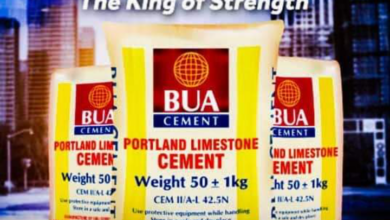 BUA Cement Targets 17 million MTPA Capacity by Q1 2024