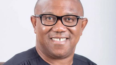 2023 General ElectionsGubernatorial ElectionLabour PartyPeter Obi