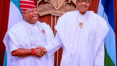 Election TribunalGov. AdelekePresident BuhariSupreme Court