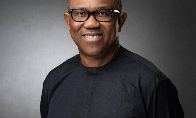 I’ll Make Nigerian Ports Work Efficiently if Elected President – Peter Obi