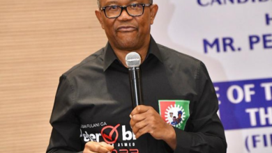 Peter Obi: I’m Committed to a United, Secure and Progressive Nigeria