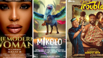 Nollywood movies hit N3.5 billion in box office revenue for 2024