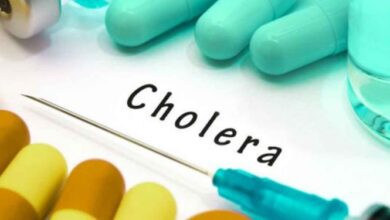 Sokoto records 25 deaths, treats 1,160 cases in cholera outbreak – Director