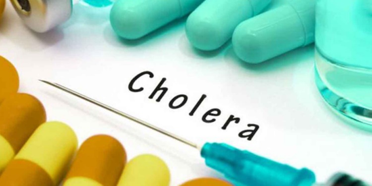 Sokoto records 25 deaths, treats 1,160 cases in cholera outbreak – Director