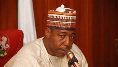 FG disburses N1.3 billion grant to empower small business owners in Borno