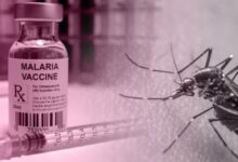 Malaria vaccine rollout to begin in Kebbi, Bayelsa states on December 2 – NPHCDA