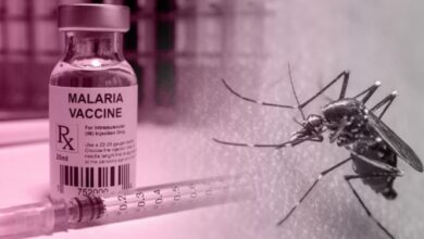 Malaria vaccine rollout to begin in Kebbi, Bayelsa states on December 2 – NPHCDA