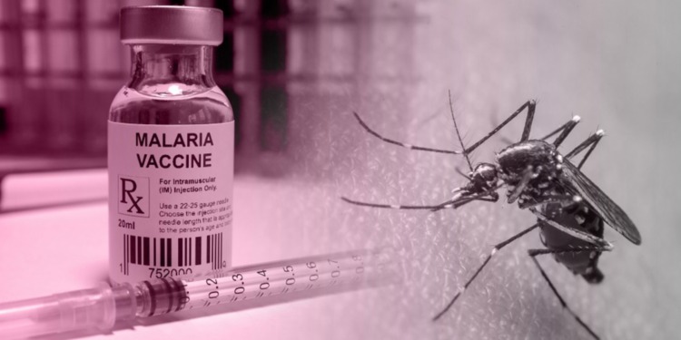 Malaria vaccine rollout to begin in Kebbi, Bayelsa states on December 2 – NPHCDA