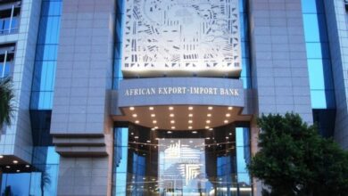 Afreximbank’s $300m African Medical Centre of Excellence in Abuja to open June 2025