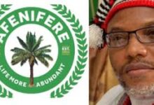 Afenifere calls for Nnamdi Kanu’s immediate release