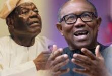 Akande’s allegation divisive, #EndSARS movement organic – Obi