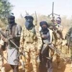 Nigeria ‘ll lead Africa’s growth with education, agric —Shettima
