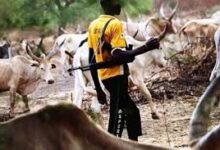 Five farmers killed in fresh herdsmen attack in Ondo