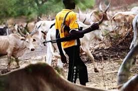 Five farmers killed in fresh herdsmen attack in Ondo