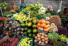 Food Security: Lagos set to launch N500m ‘Ounje Eko’ farmers’ subsidy intervention programme