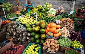 Food Security: Lagos set to launch N500m ‘Ounje Eko’ farmers’ subsidy intervention programme