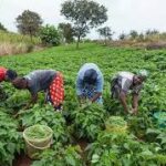 Insecurity: Military neutralizes 358 terrorists, rescues 249 hostages in January 2025