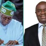 Birthright citizenship: Nigerians in diaspora kick, say Trump’s action illegal