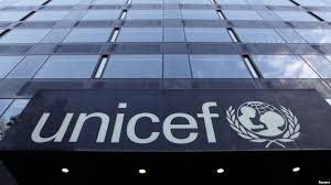 UNICEF tasks Bauchi govt to develop local digital content for students