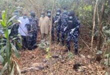 We have cleared Umuahia forests of criminal elements — Hunters