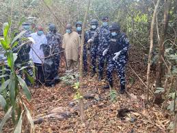 We have cleared Umuahia forests of criminal elements — Hunters