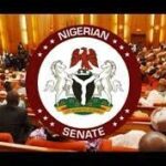 Nigerian Governors Reject VAT Hike, Advocate for Equitable Distribution