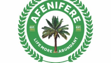 Afenifere in UK, US disown Oba Olaitan as leader