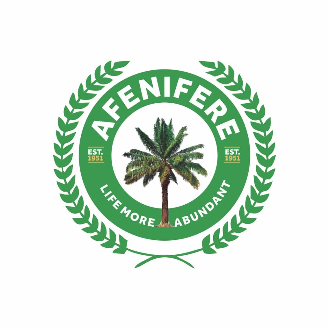 Afenifere in UK, US disown Oba Olaitan as leader