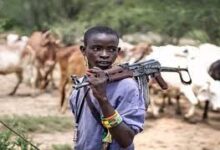 Benue: Local hunters, armed herdsmen clash claims 3 lives in Otukpo