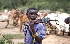 Benue: Local hunters, armed herdsmen clash claims 3 lives in Otukpo