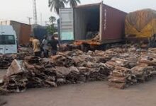 Customs seizes N4.2bn worth of endangered donkey skins, 21 vehicles