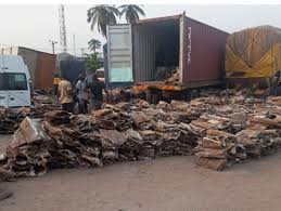 Customs seizes N4.2bn worth of endangered donkey skins, 21 vehicles