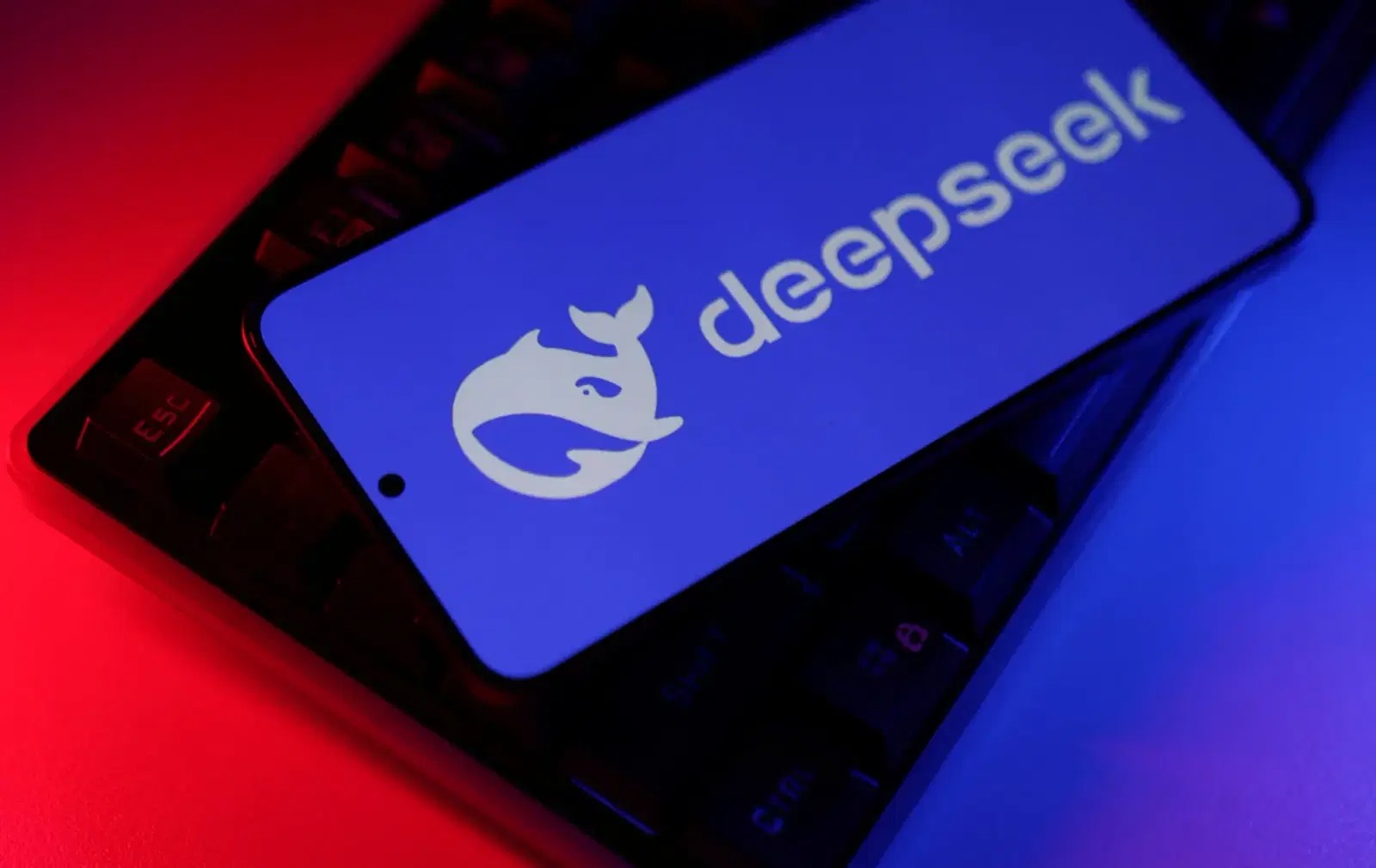 DeepSeek removed from South Korea app stores