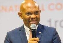 Elumelu canvases support for young African entrepreneurs