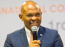 Elumelu canvases support for young African entrepreneurs