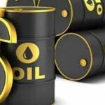NBGN repositions to drive economic devt