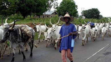 Herdsmen farmers’ clashes, our major challenge in Ivo — Ajah, council chairman