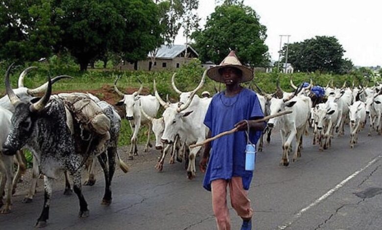 Herdsmen farmers’ clashes, our major challenge in Ivo — Ajah, council chairman