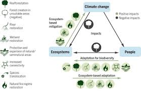 How natural and planted ecosystems contribute to climate change mitigation — Ecologist