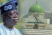 Lagos Assembly Speakership: No confirmation of meeting with Tinubu — Presidency source