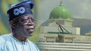 Lagos Assembly Speakership: No confirmation of meeting with Tinubu — Presidency source