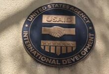 Nearly all USAID staff to be laid off: US media